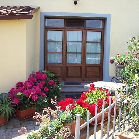 치아니 Casa Amedeo 아파트 객실 사진